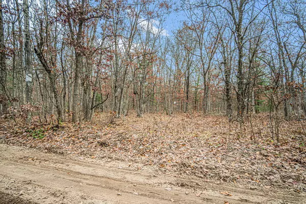 Rothbury, MI 49452,VL 128th Avenue