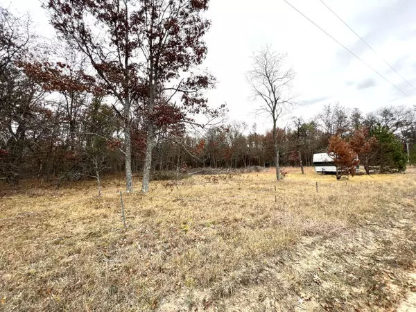 2442 E 38th Street Street, Idlewild, MI 49642