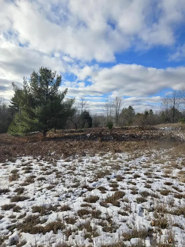 Evart, MI 49631,Lot 895 Lake Miramichi Drive