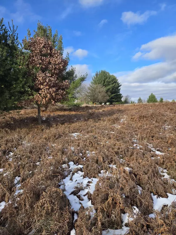 Evart, MI 49631,Lot 895 Lake Miramichi Drive