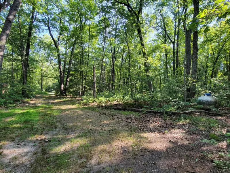 17302 6th Street, Wellston, MI 49689