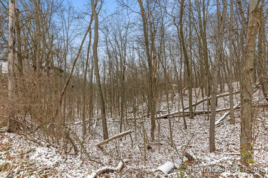 9021 Satterlee Road, Greenville, MI 48838