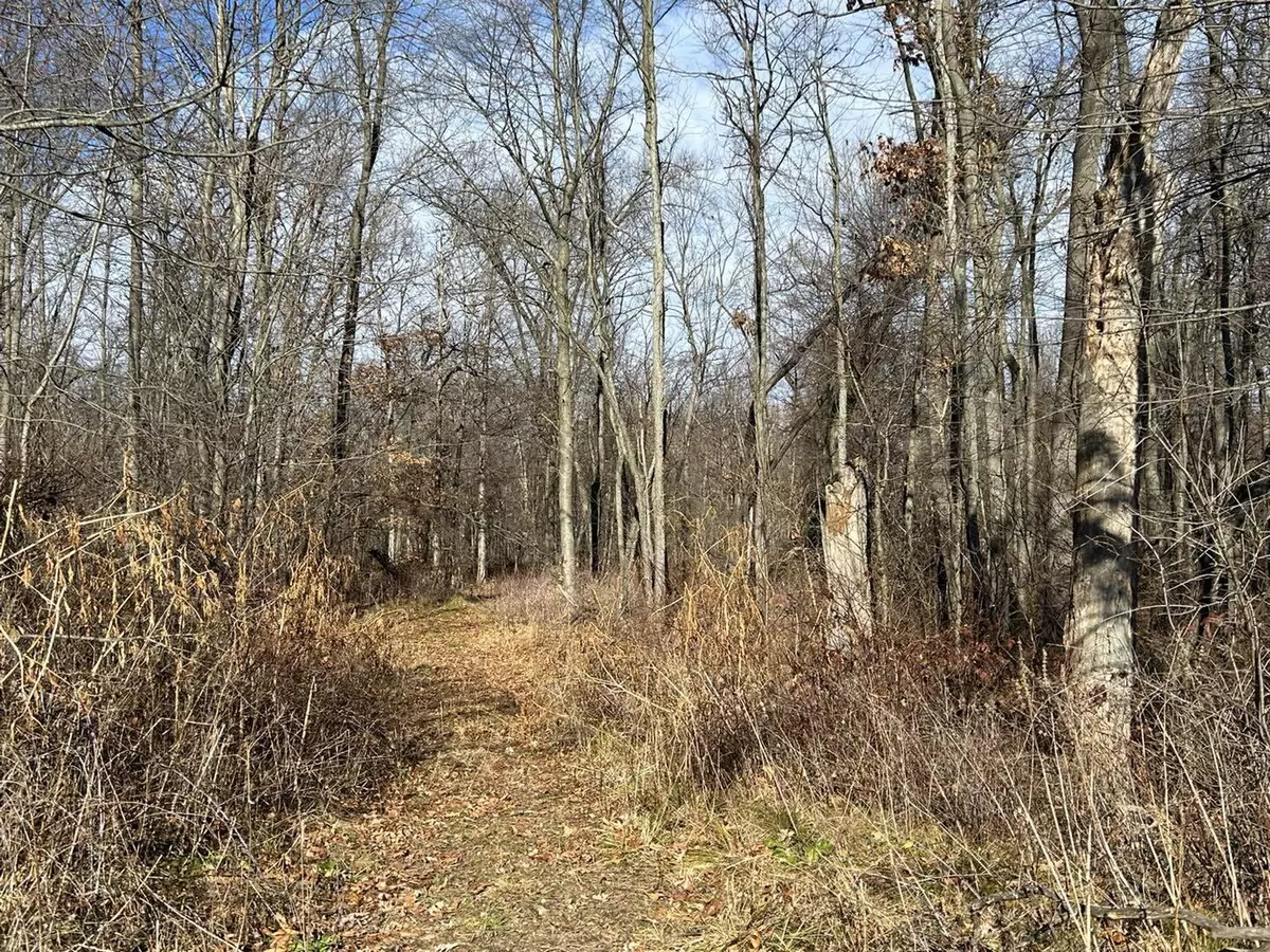Jonesville, MI 49250,Fowle Road