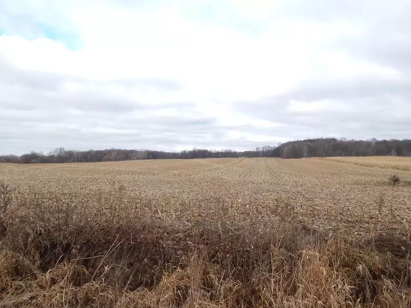 17890 Laketon Avenue, Casnovia, MI 49318