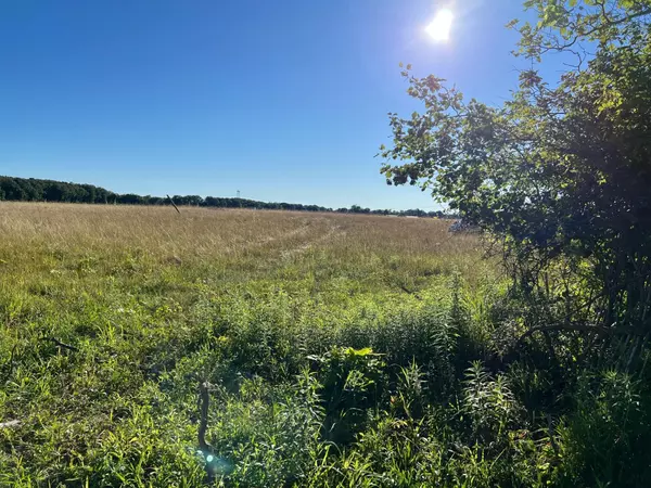 Three Oaks, MI 49128,16222 Holden Road #B-2