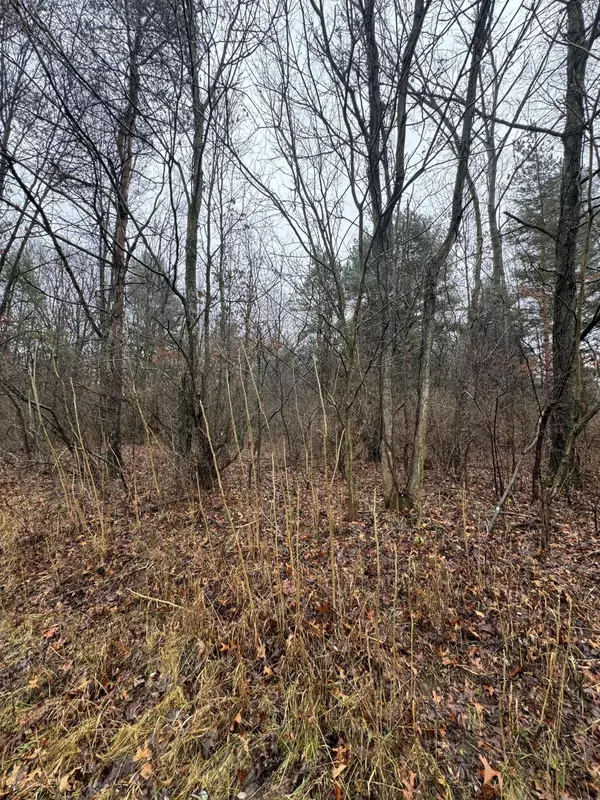 Paw Paw, MI 49079,76655 40th Street