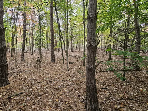 West Olive, MI 49460,15946 Revello Court