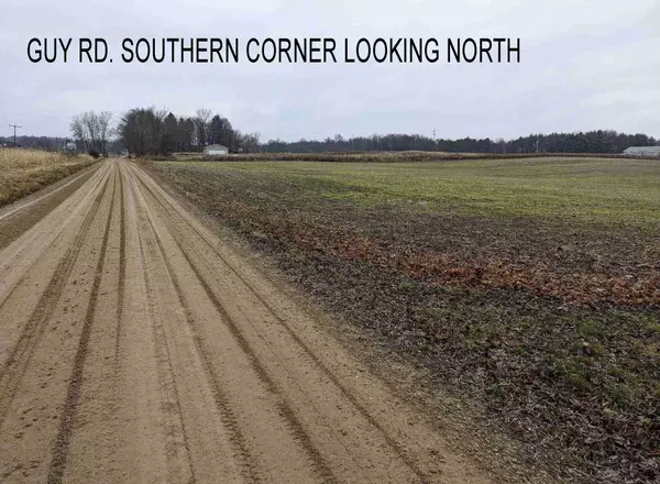 Nashville, MI 49073,V/L 00 Guy Rd Road