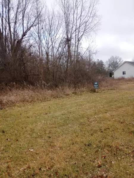 11412 Grand Oaks Drive, Clio, MI 48420