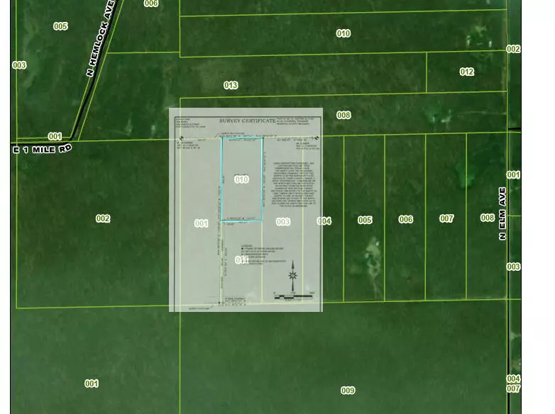 VL N Elm, White Cloud, MI 49349
