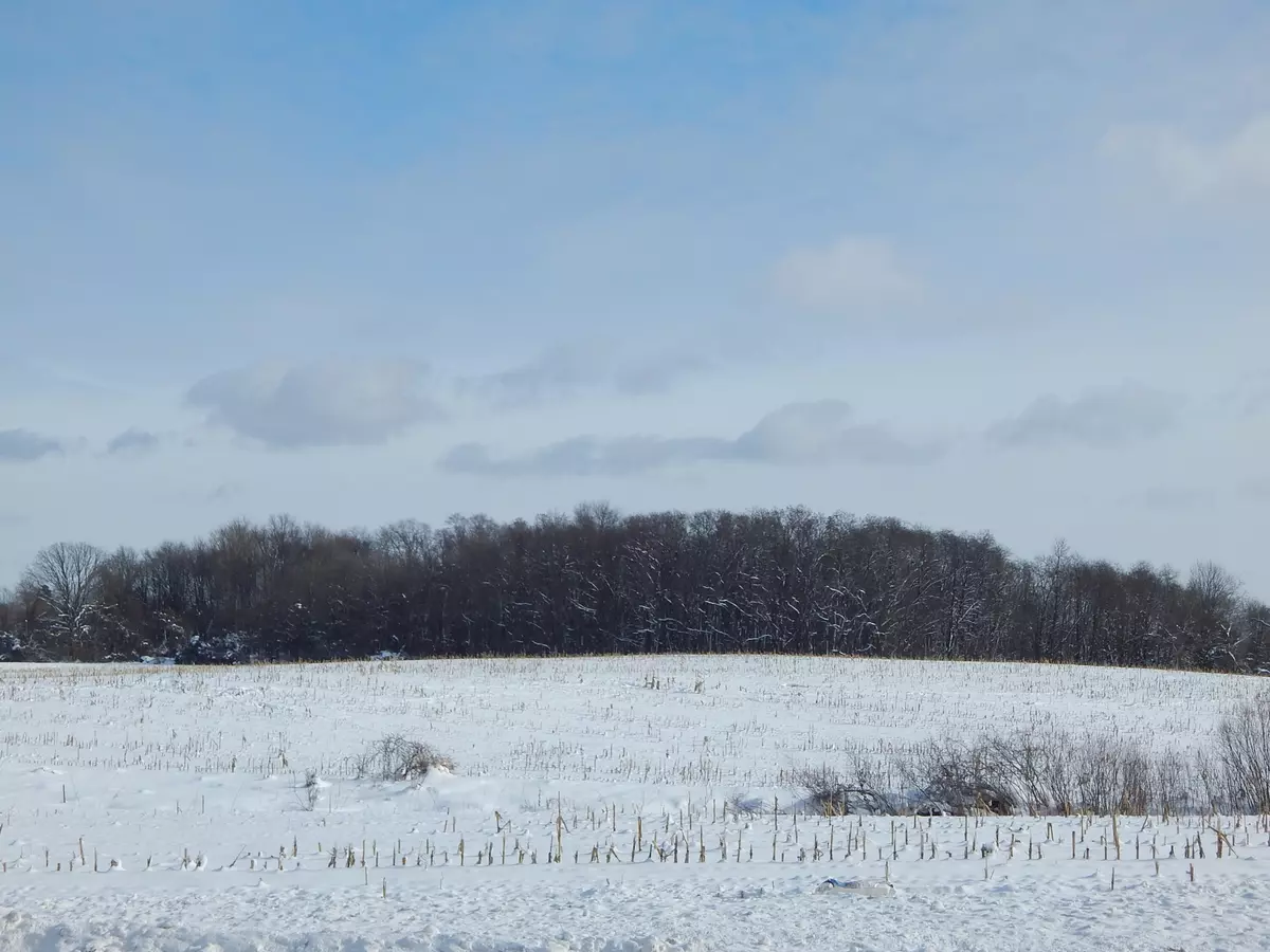 Kent City, MI 49330,12480 Fruit Ridge NW Avenue