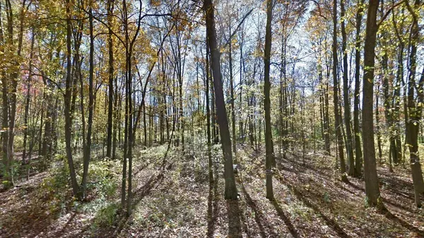 Jackson, MI 49201,Lot 3 Leora Lane