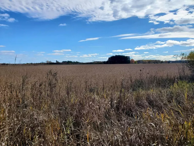 E Hansen Road, Scottville, MI 49454