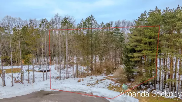 Gowen, MI 49326,13002 Spruce Ridge NE Drive