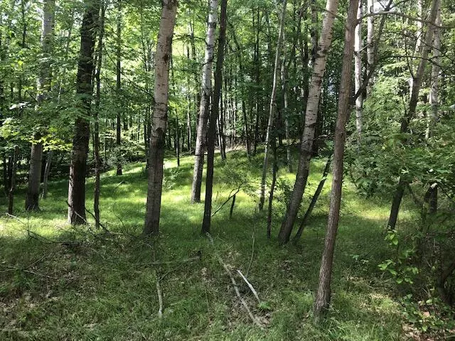 Canadian Lakes, MI 49346,11992 Cheyenne Wells Trail