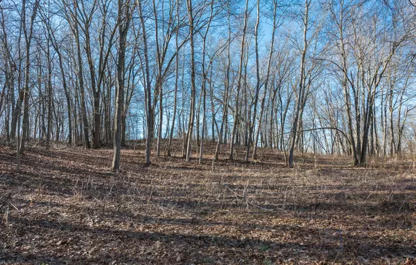 Delton, MI 49046,V/L Mullen Ridge Drive