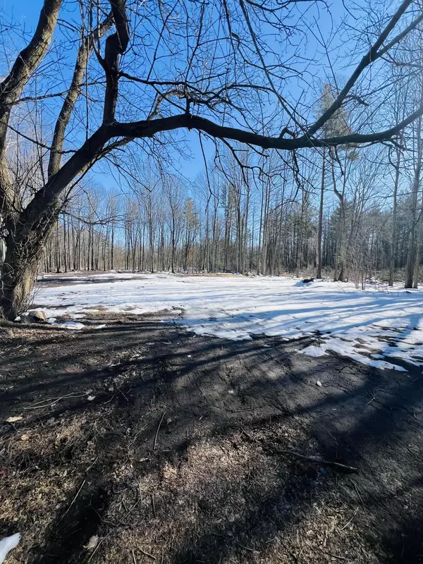 Lakeview, MI 48850,738 95th Avenue