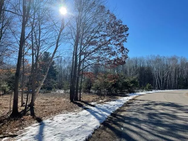 Canadian Lakes, MI 49346,6600 Dunhill Drive