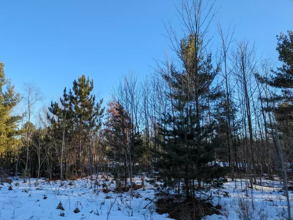 Kaleva, MI 49645,Bergstrom Drive