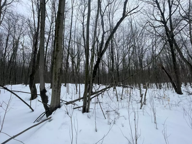 V/L 37.9A 9 Mile Road, Reed City, MI 49677