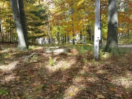 Mears, MI 49436,9463 W Wildridge Road