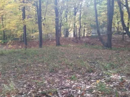 Mears, MI 49436,9463 W Wildridge Road