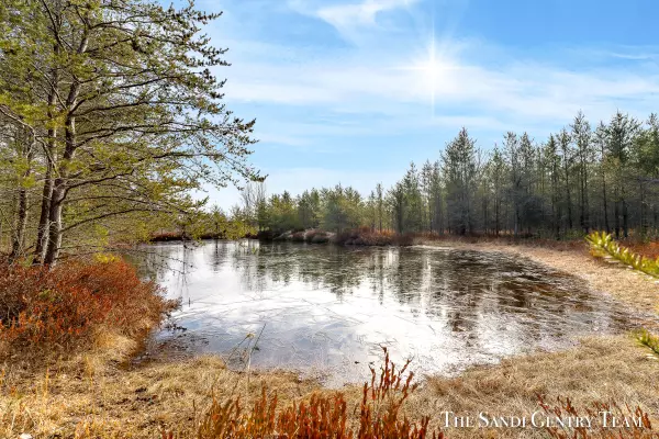 Free Soil, MI 49411,2827 W Forest Trail Road