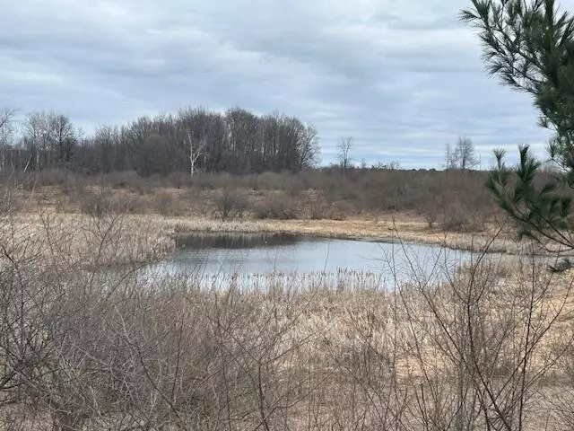 Lakeview, MI 48850,4693 Jefferson Road