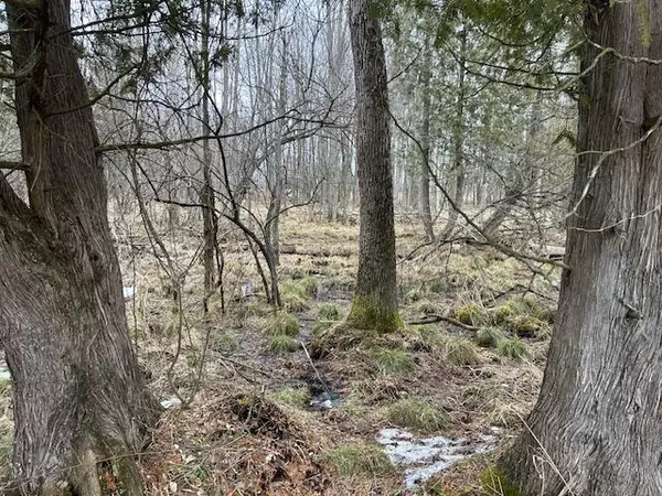 Lakeview, MI 48850,4693 Jefferson Road