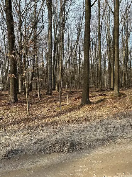 9228 White Birch Drive, Stanwood, MI 49346