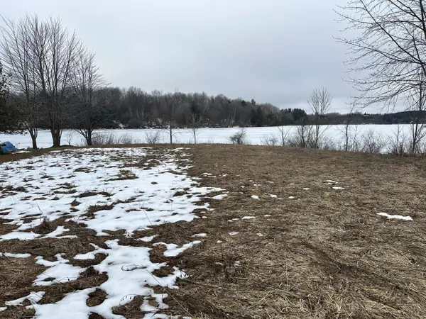 Gladwin, MI 48624,VL Shamrock Court #Lots 72 & 73
