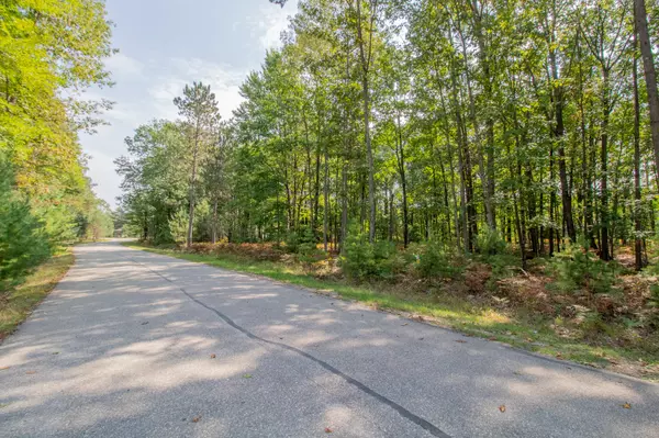 Canadian Lakes, MI 49346,6362 Cedar Trace Drive ##34