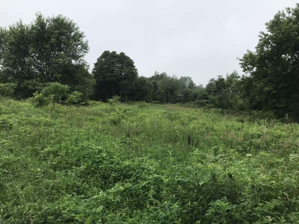 Lot B Hidden Creek Trail, Saugatuck, MI 49453