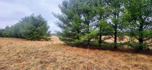 Twin Lake, MI 49457,5880 Sweeter Road #Lot C