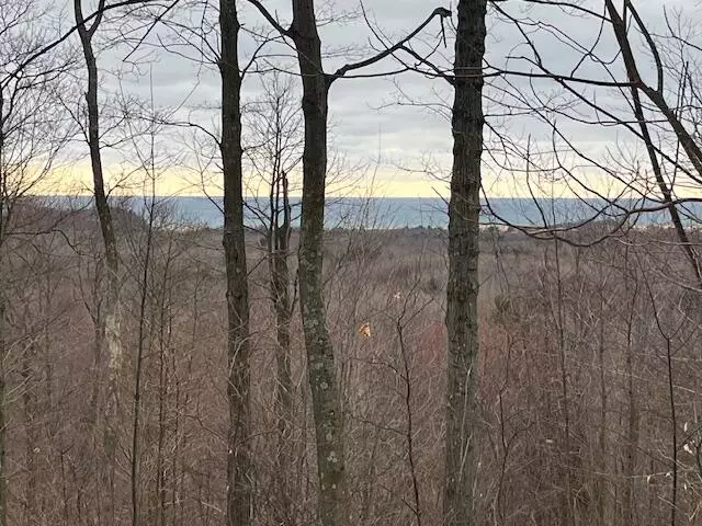 Mears, MI 49436,Silver Vista #lot 2