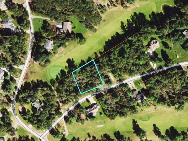 Lot 29 White Pine Drive, Cadillac, MI 49601