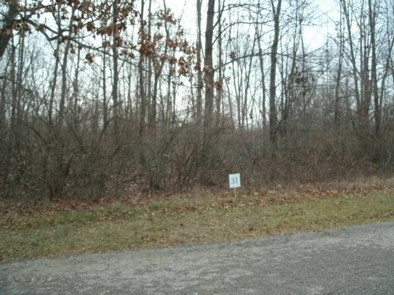 0 Drew Drive #Lot 31, Niles, MI 49120