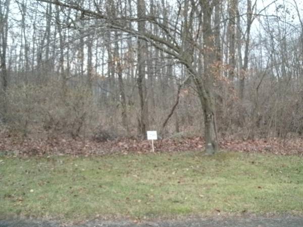 0 Echo Valley Drive #Lot 20, Niles, MI 49120