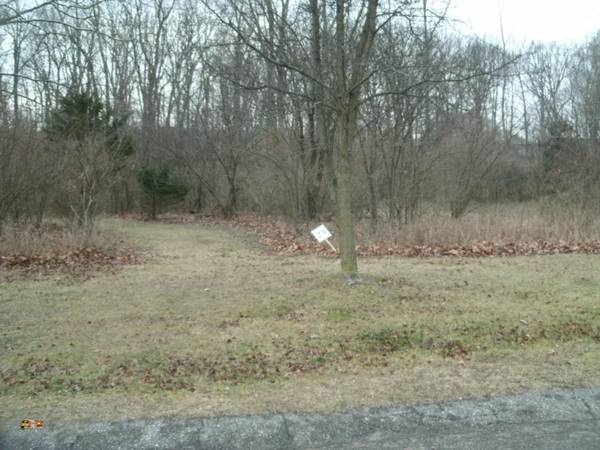 Niles, MI 49120,0 Echo Valley Drive #Lot 24