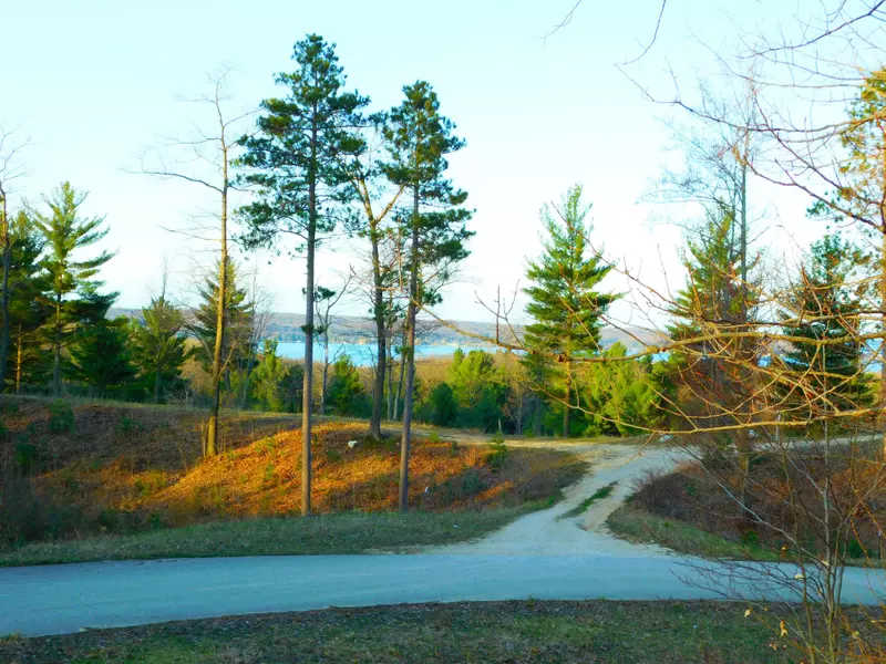 Indigo Trail, Onekama, MI 49675