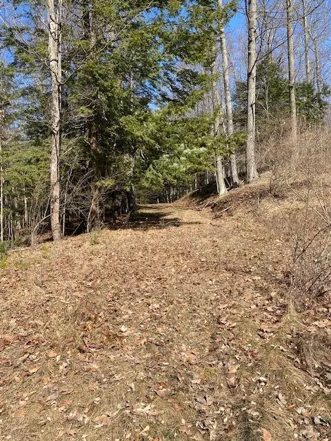 Pentwater, MI 49449,Lost Canyon Road