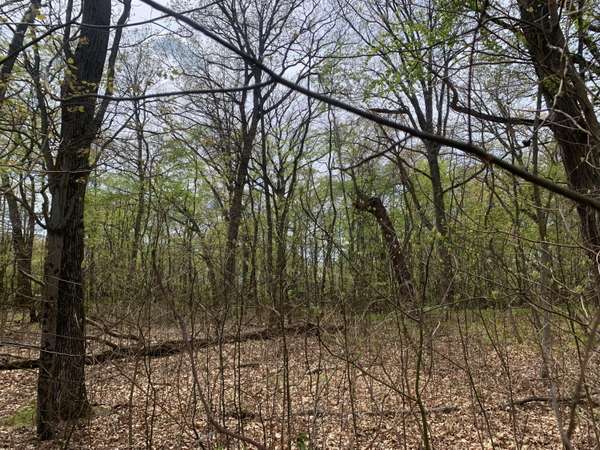 New Buffalo, MI 49117,29 Fairway Drive #Lot 29