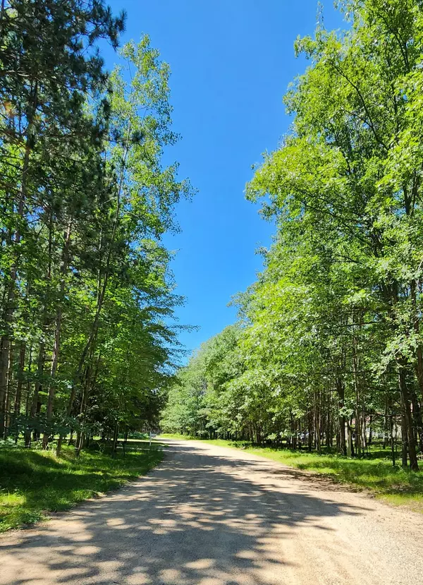 Canadian Lakes, MI 49346,12383 Sundance Drive