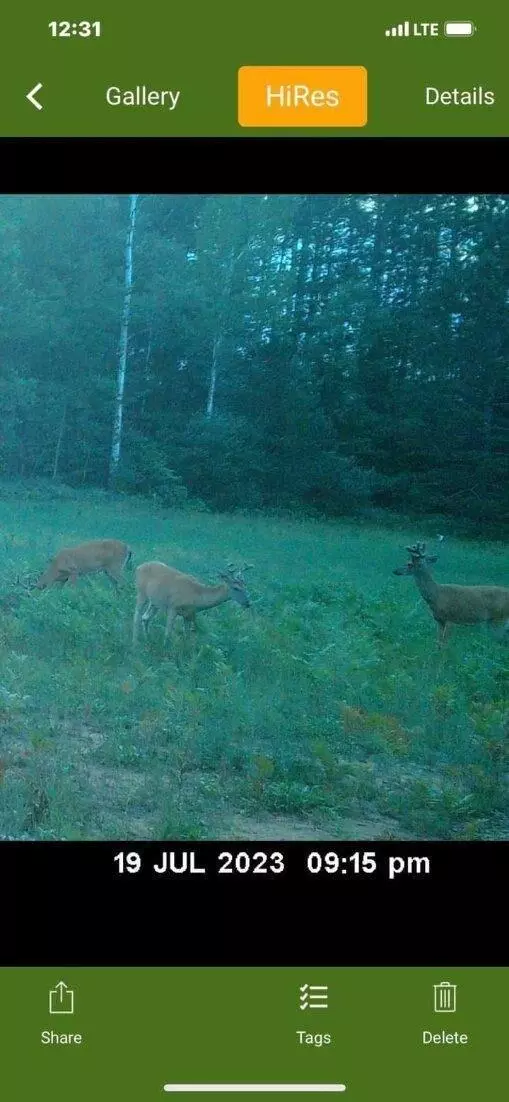 Coleman, MI 48618,VL N V L COLEMAN