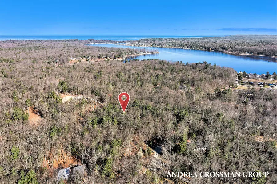 V/L Wayne Road, Pentwater, MI 49449