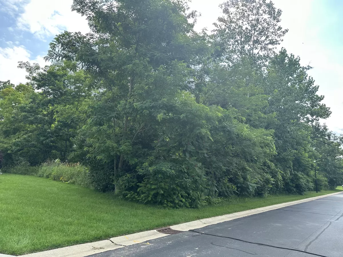 Benton Harbor, MI 49022,255 Northbridge Court #LOT 12