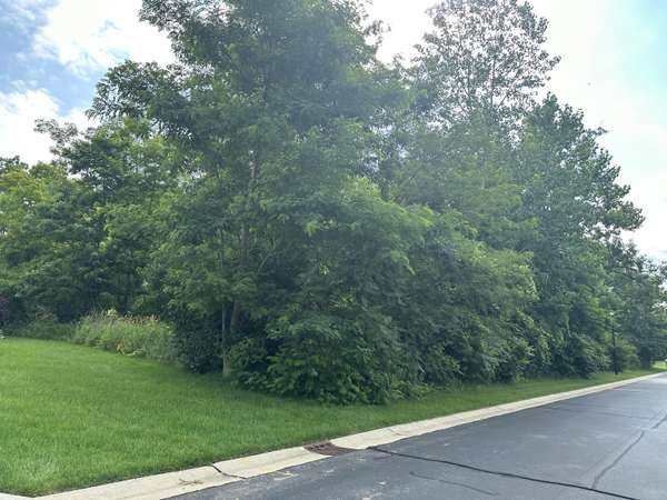 255 Northbridge Court #LOT 12, Benton Harbor, MI 49022