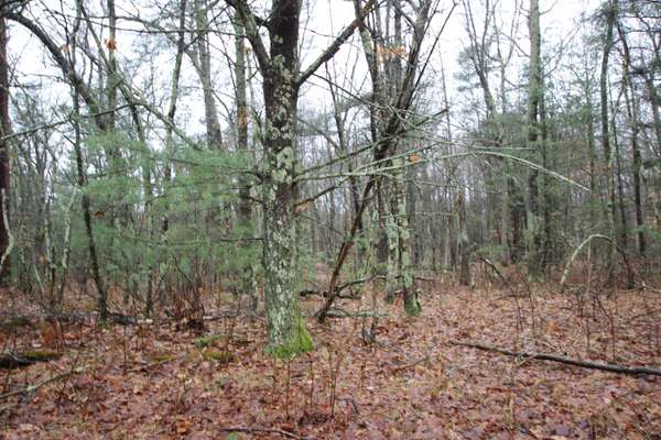 Holton, MI 49425,0 Round Lake Drive #Lot 3