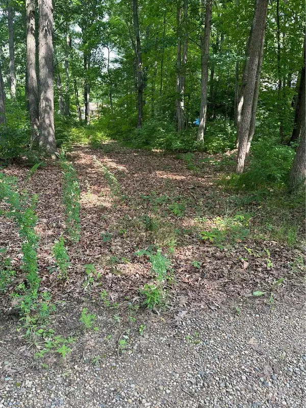 Howard City, MI 49329,Lot 60 Seminole Drive