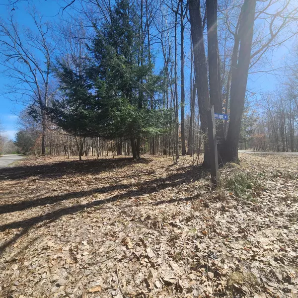 Canadian Lakes, MI 49346,9791 Fawn Ridge Road